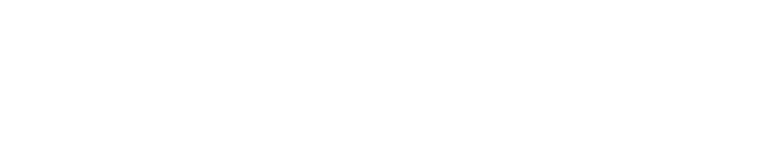 Dallas Chinese Daily